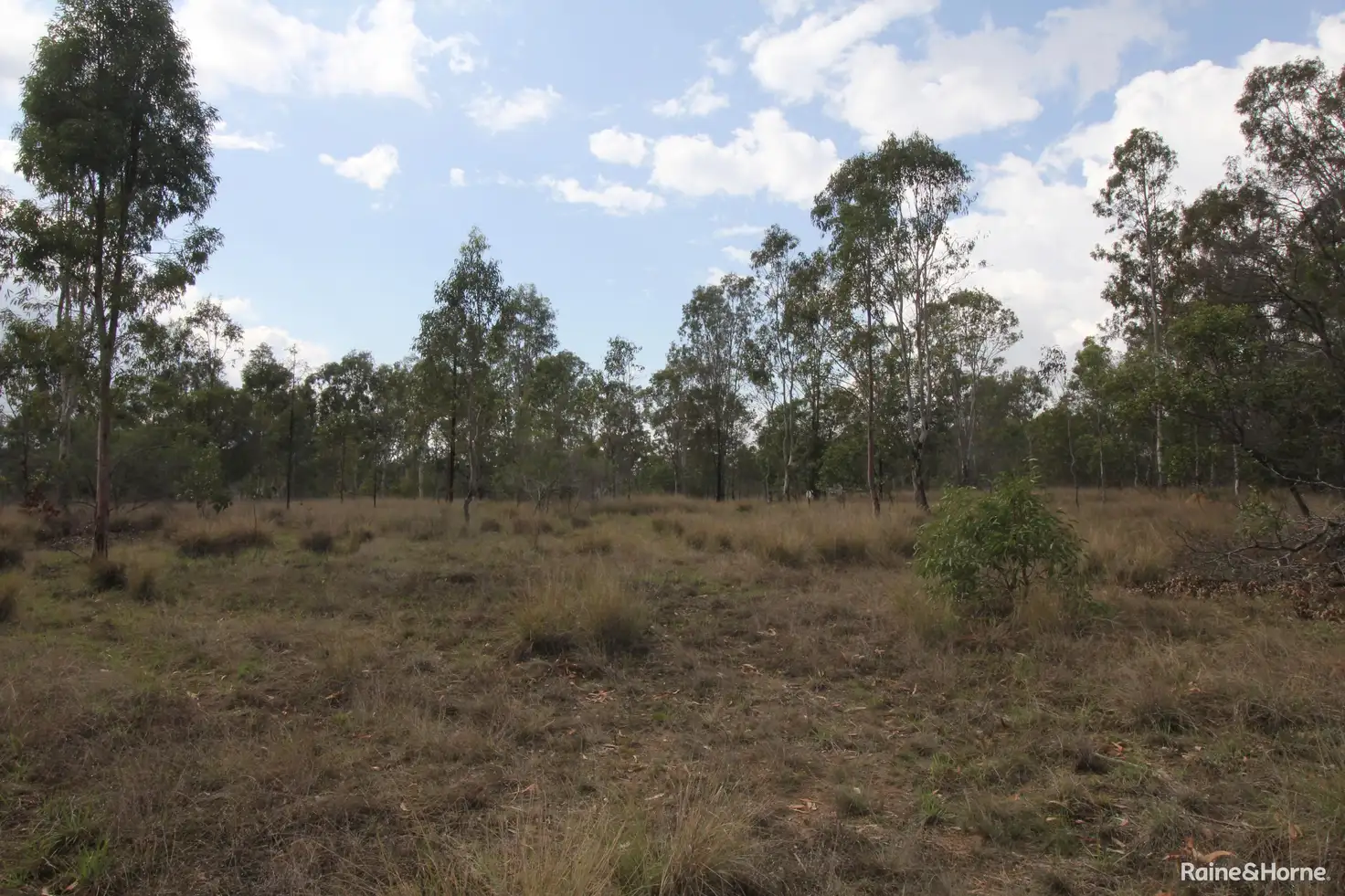 Main view of Homely rural property listing, Address available on request