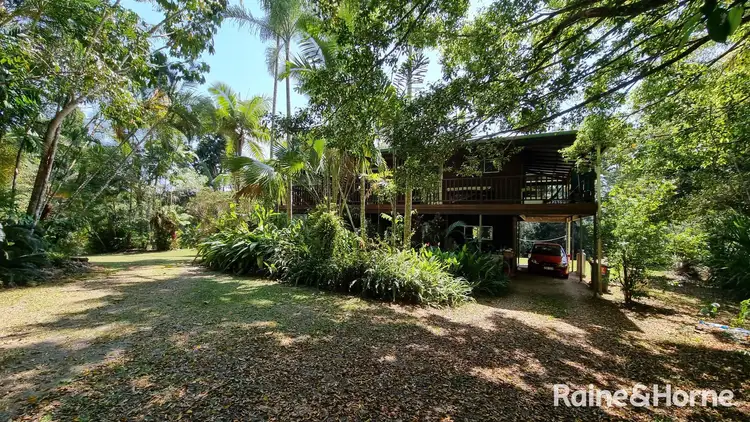 Sixth view of Homely house listing, 145 Euluma Creek Road, Julatten QLD 4871