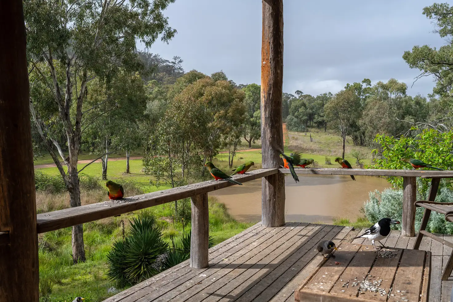 Main view of Homely rural property listing, 246 Cuthel Lane, Gulgong NSW 2852