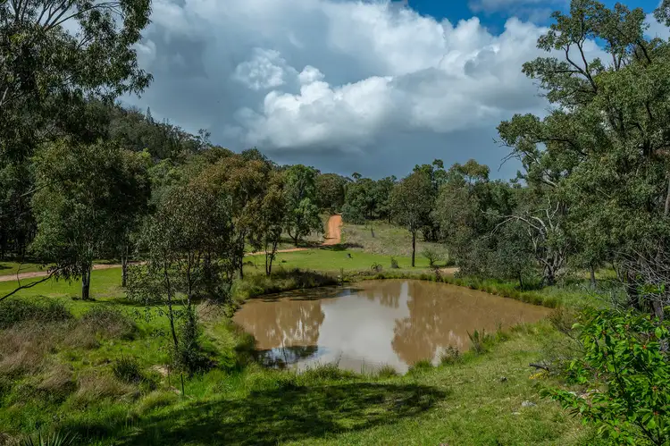 Sixth view of Homely rural property listing, 246 Cuthel Lane, Gulgong NSW 2852