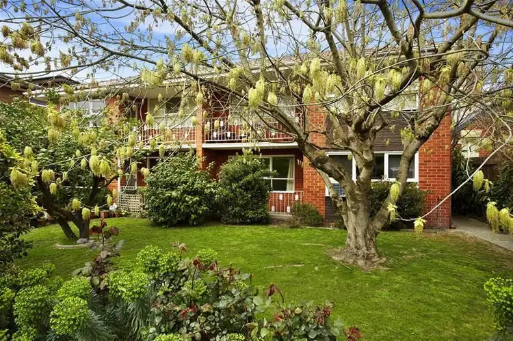 Main view of Homely apartment listing, 5/8 Brook Street, Hawthorn VIC 3122
