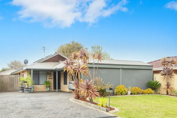 Main view of Homely house listing, 1/41 Kittyhawk Grove, Geographe WA 6280