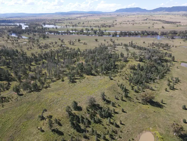 Fifth view of Homely rural property listing, Riverlea Central Ski Gardens Road, Rushes Creek NSW 2346