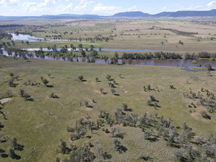Sixth view of Homely rural property listing, Riverlea Central Ski Gardens Road, Rushes Creek NSW 2346