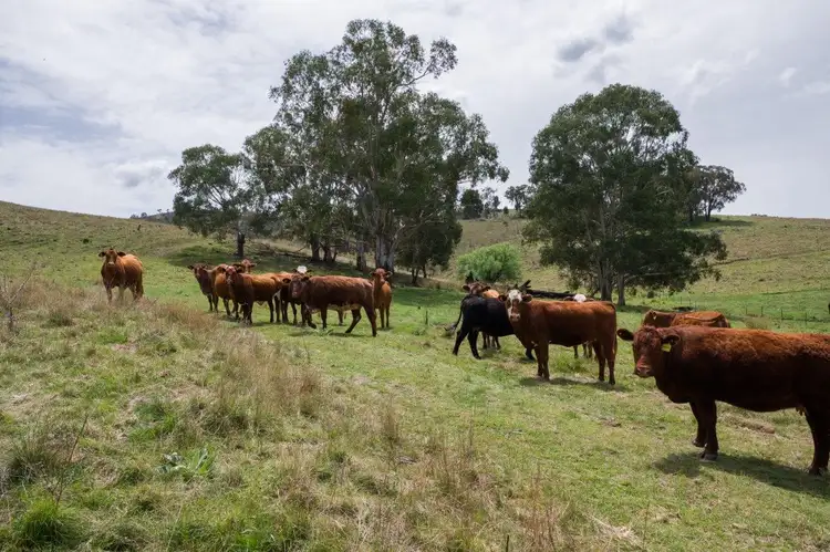 5192 Halls Creek Road, Bendemeer NSW 2355