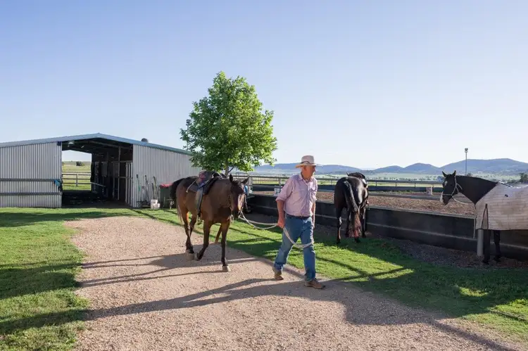 Fifth view of Homely rural property listing, 2509 Werris Creek Road, Werris Creek NSW 2341