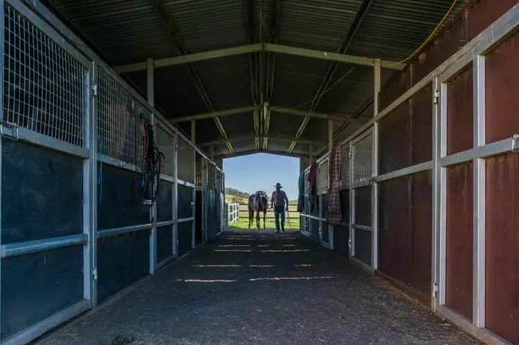 Sixth view of Homely rural property listing, 2509 Werris Creek Road, Werris Creek NSW 2341