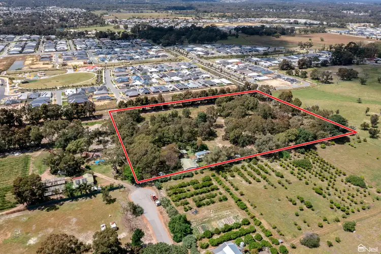 Main view of Homely house listing, 26 Purves Way, Haynes WA 6112