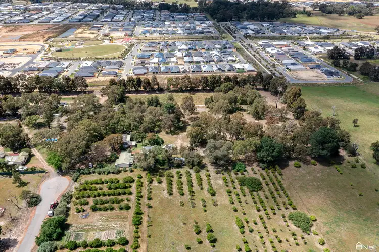 Fourth view of Homely house listing, 26 Purves Way, Haynes WA 6112