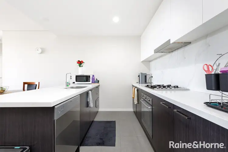 303/19-21 Prospect Street, Rosehill NSW 2142