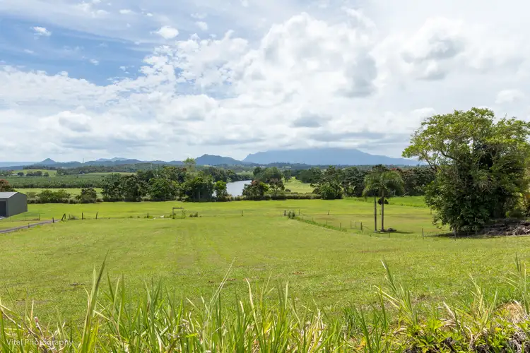Fourth view of Homely house listing, 385 Palmerston Highway, O'briens Hill QLD 4860