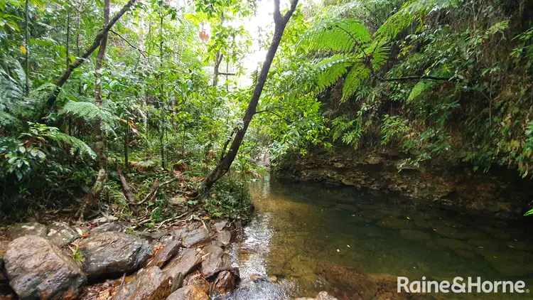 Second view of Homely house listing, 124 Thornton Peak Drive, FOREST CREEK, Daintree QLD 4873