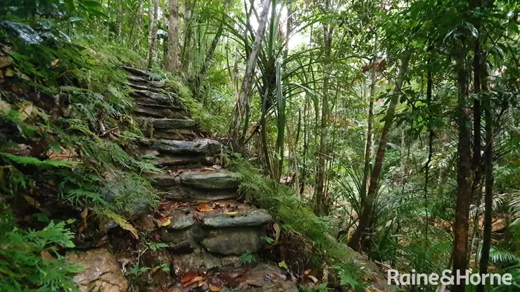 Fifth view of Homely house listing, 124 Thornton Peak Drive, FOREST CREEK, Daintree QLD 4873