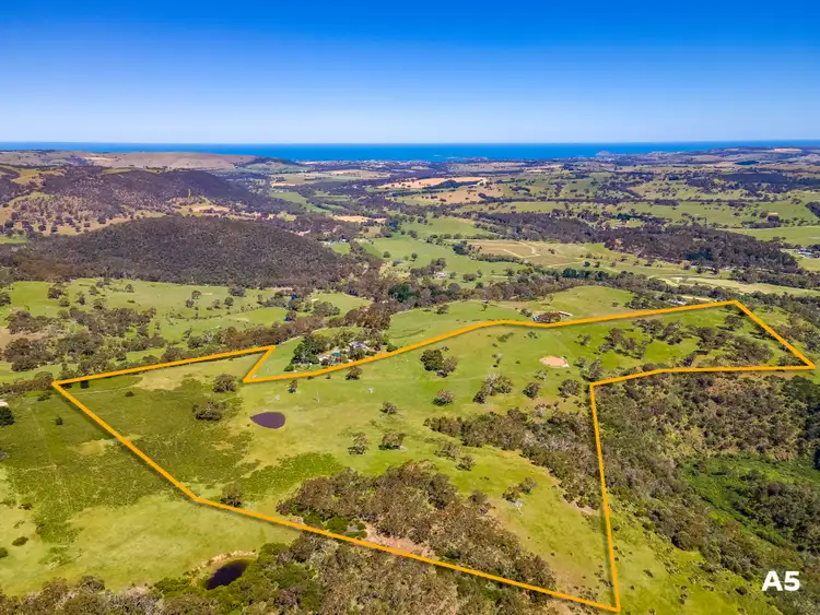 Fourth view of Homely rural property listing, 451 (A1) Nettle Hill Road, Hindmarsh Valley SA 5211