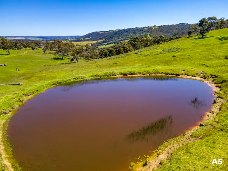 Fifth view of Homely rural property listing, 451 (A1) Nettle Hill Road, Hindmarsh Valley SA 5211