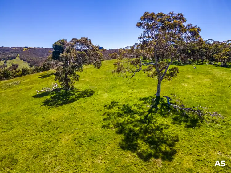 Sixth view of Homely rural property listing, 451 (A1) Nettle Hill Road, Hindmarsh Valley SA 5211