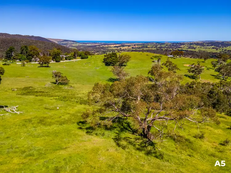 Seventh view of Homely rural property listing, 451 (A1) Nettle Hill Road, Hindmarsh Valley SA 5211