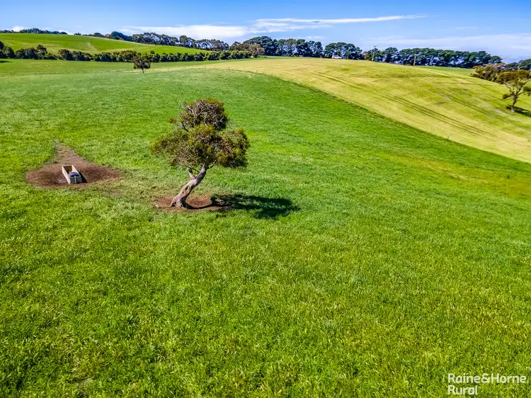 Fourth view of Homely rural property listing, 532 Goolwa Road, Mosquito Hill SA 5214