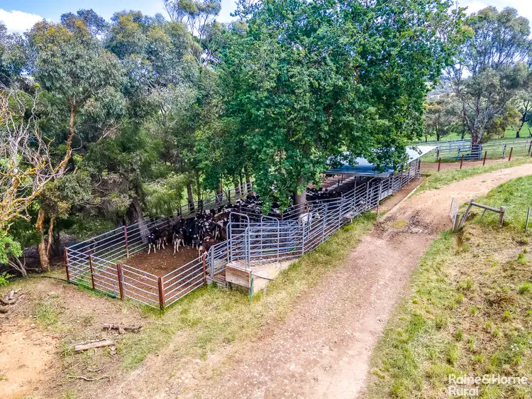 Fifth view of Homely rural property listing, 532 Goolwa Road, Mosquito Hill SA 5214