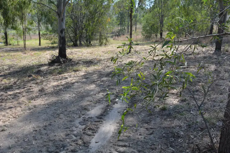 Third view of Homely land listing, 6 Long Street, Mount Perry QLD 4671
