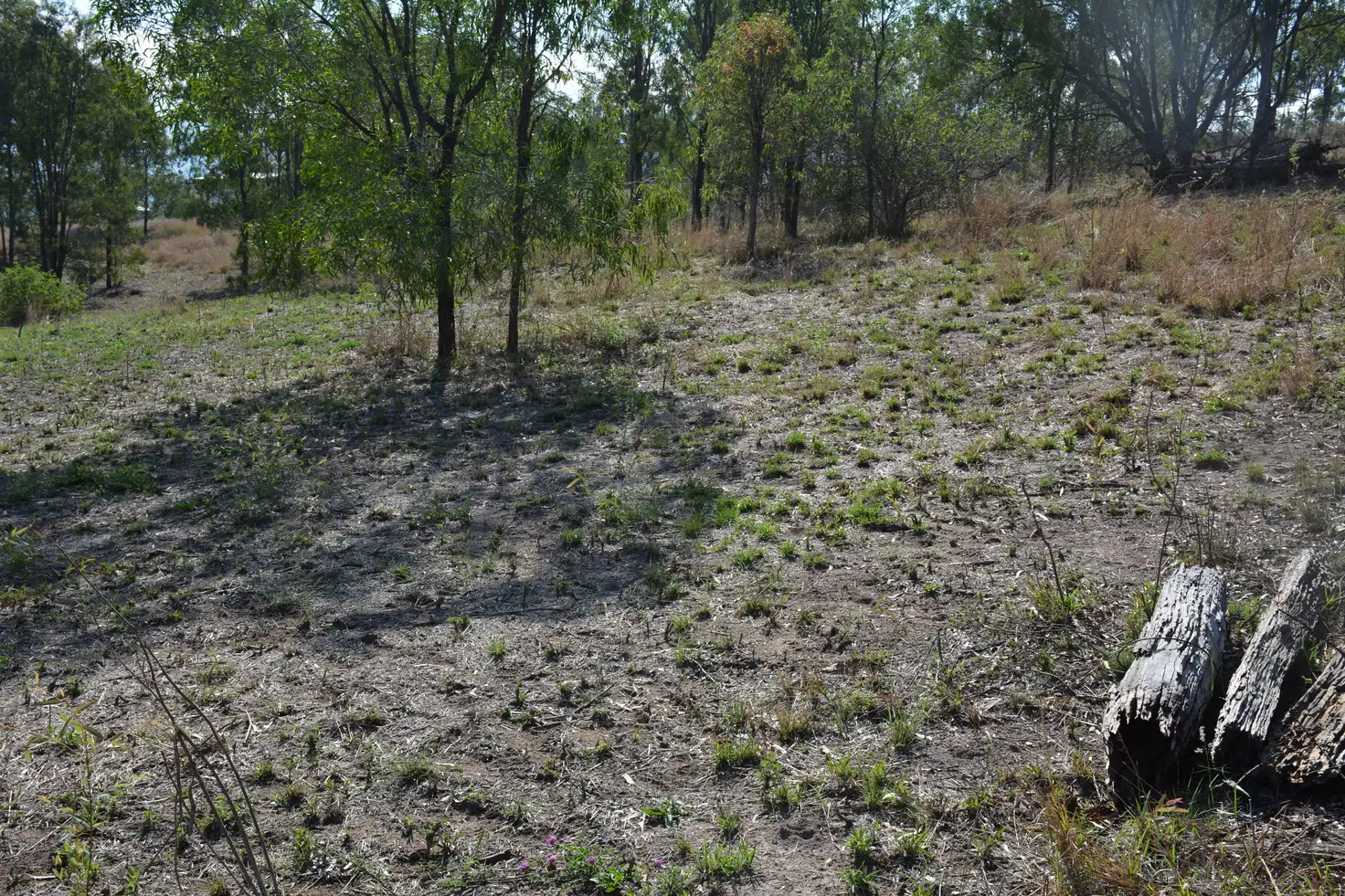 Main view of Homely rural property listing, 9 Long Street, Mount Perry QLD 4671