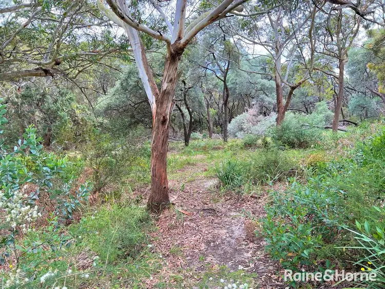 Seventh view of Homely land listing, 31 One Mile Close, Boat Harbour NSW 2316