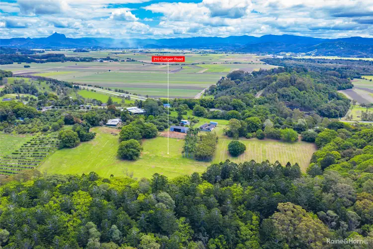 Fourth view of Homely house listing, 210 Cudgen Road, Duranbah NSW 2487