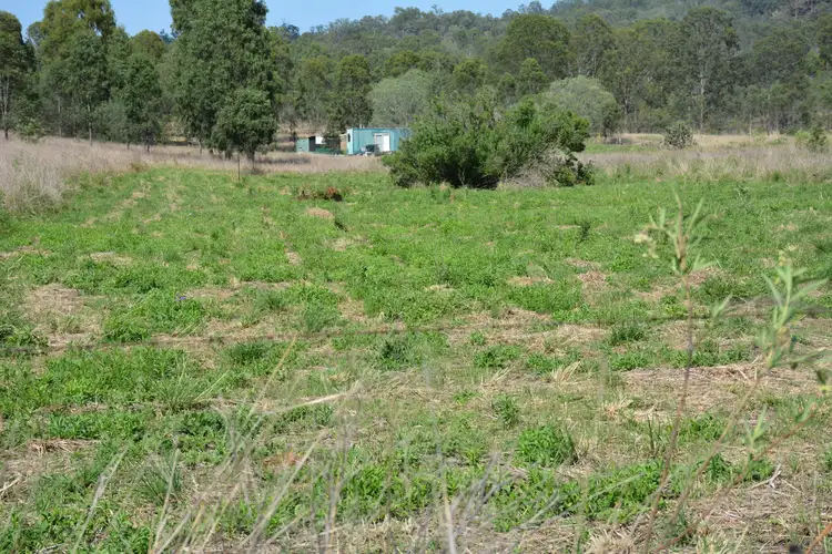 305 & 318 Chichester Street, Mount Perry QLD 4671