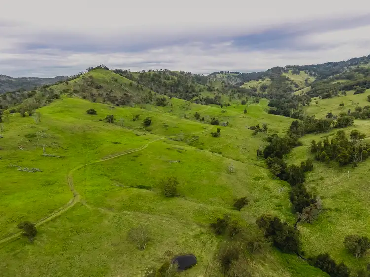 Second view of Homely rural property listing, "Cumbungi Highlands" Branch Creek Road Ellerston (Via), Scone NSW 2337