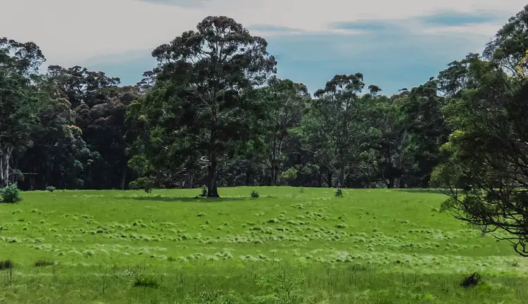 Third view of Homely rural property listing, "Cumbungi Highlands" Branch Creek Road Ellerston (Via), Scone NSW 2337