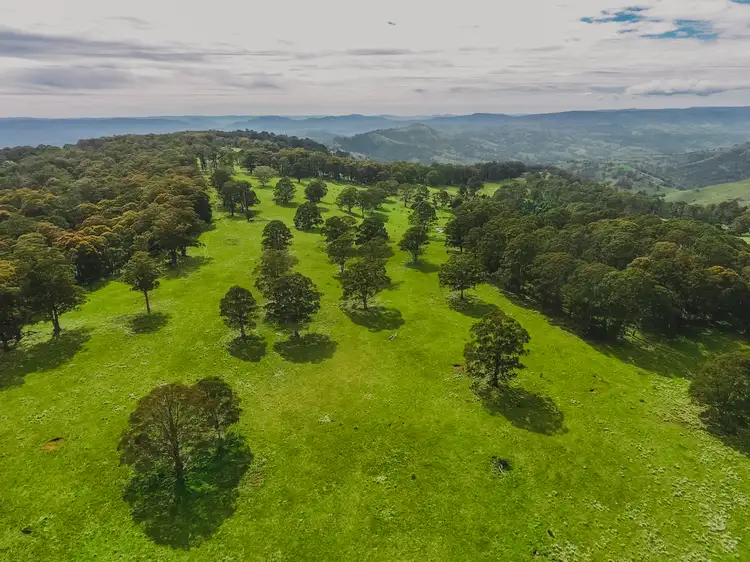 Fourth view of Homely rural property listing, "Cumbungi Highlands" Branch Creek Road Ellerston (Via), Scone NSW 2337