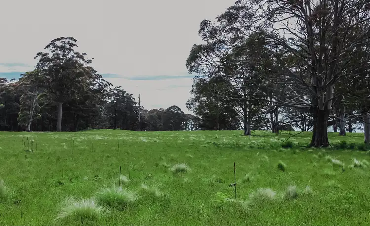 Fifth view of Homely rural property listing, "Cumbungi Highlands" Branch Creek Road Ellerston (Via), Scone NSW 2337