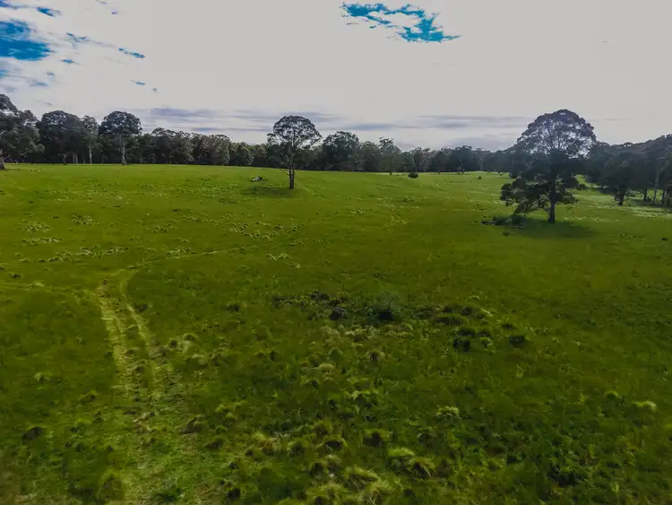 Sixth view of Homely rural property listing, "Cumbungi Highlands" Branch Creek Road Ellerston (Via), Scone NSW 2337