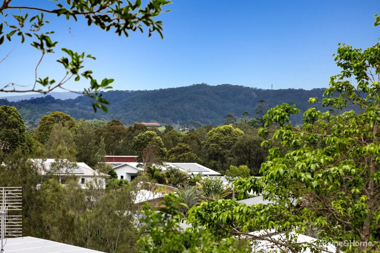 Main view of Homely house listing, 22 Echidna Street, Pottsville NSW 2489