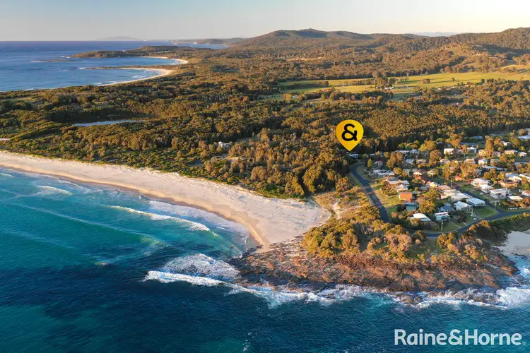 Fourth view of Homely house listing, 98 Malibu Drive, Bawley Point NSW 2539