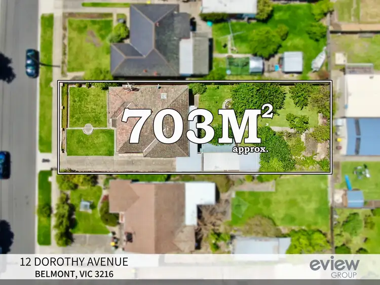 Second view of Homely house listing, 12 Dorothy Ave, Belmont VIC 3216
