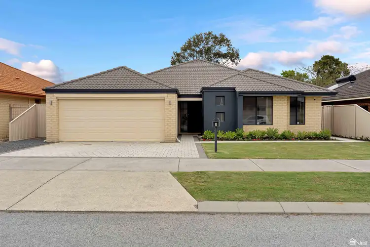 Main view of Homely house listing, 9 Jonquil Loop, Seville Grove WA 6112