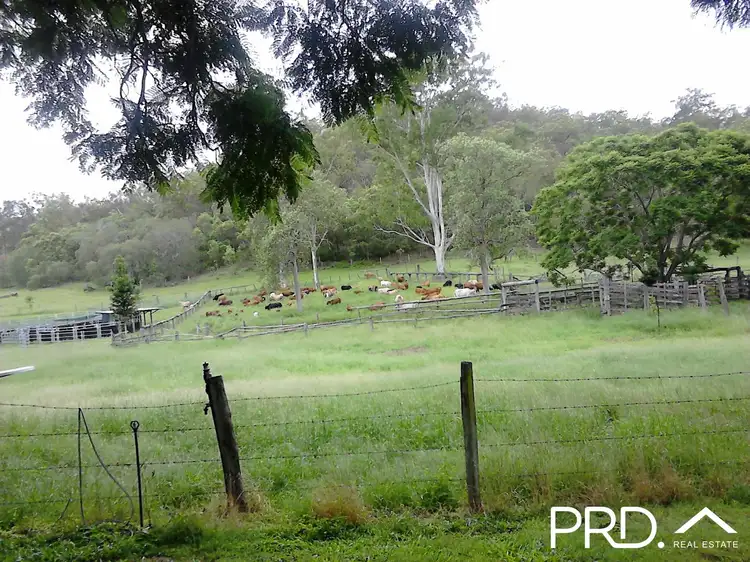 Fourth view of Homely rural property listing, 2814 Kalpowar Road, Kalpowar QLD 4630