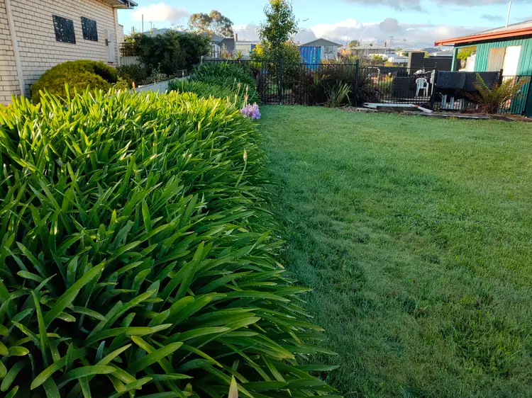 Third view of Homely house listing, 6 Boyle Street, Triabunna TAS 7190