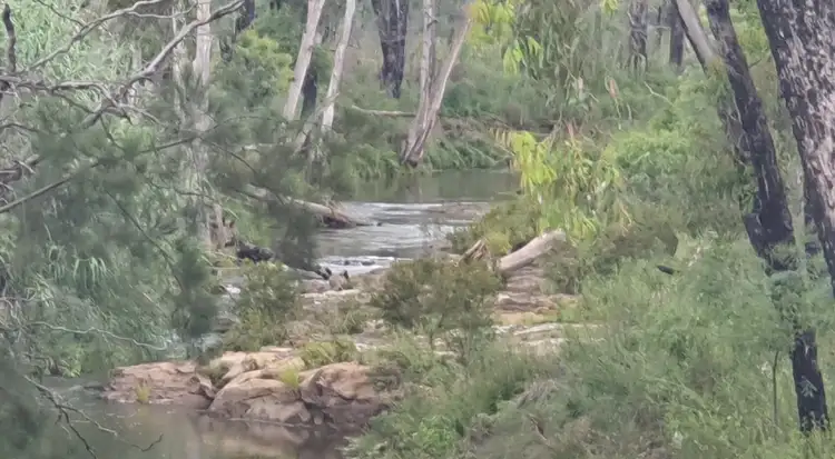 Fifth view of Homely land listing, 885 Timor Road, Coonabarabran NSW 2357
