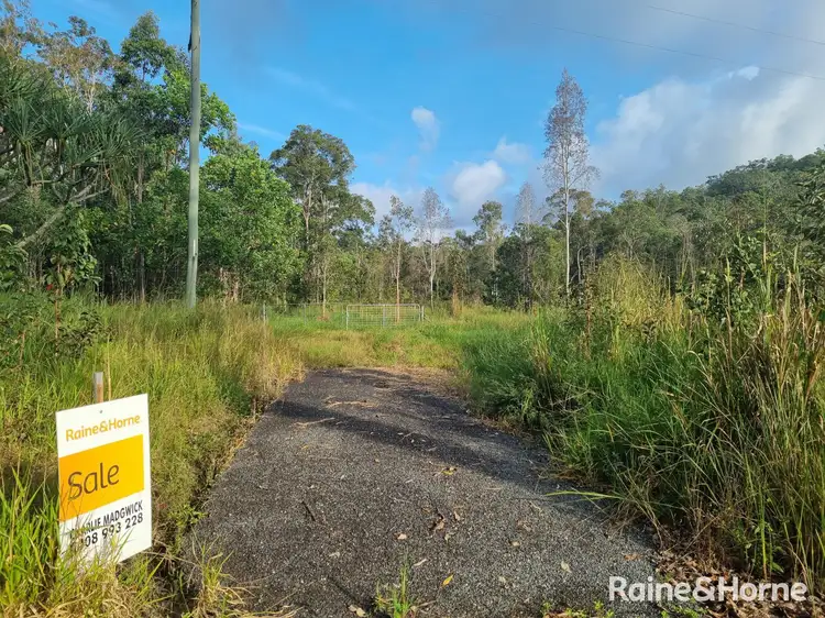 Third view of Homely land listing, 911 Euluma Creek Road, Julatten QLD 4871