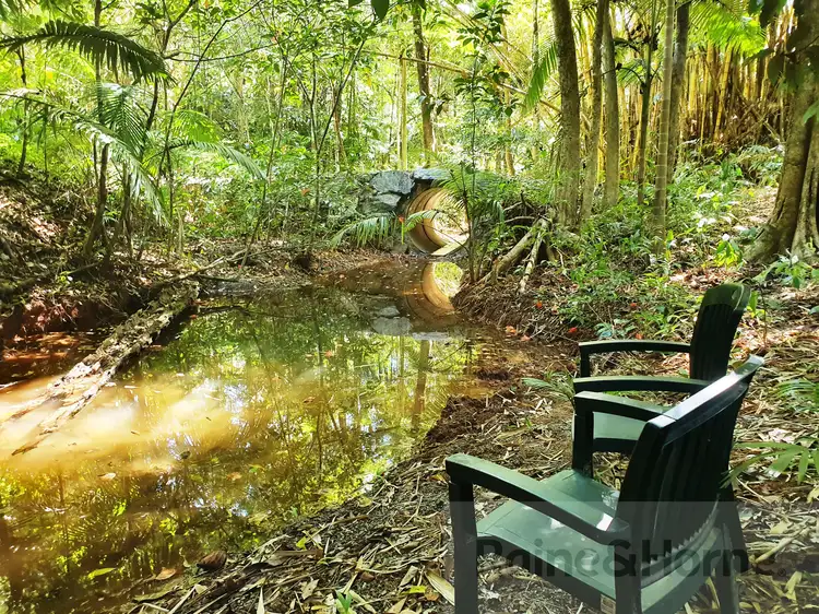 Fourth view of Homely house listing, 301 Ironbark Road, DIWAN, Daintree QLD 4873