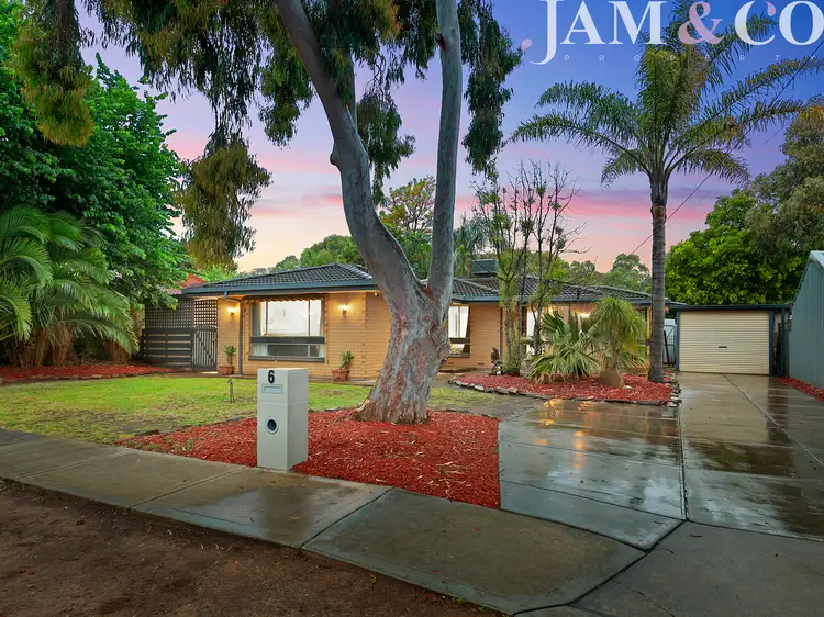 Main view of Homely house listing, 6 Riordan Street, Morphett Vale SA 5162