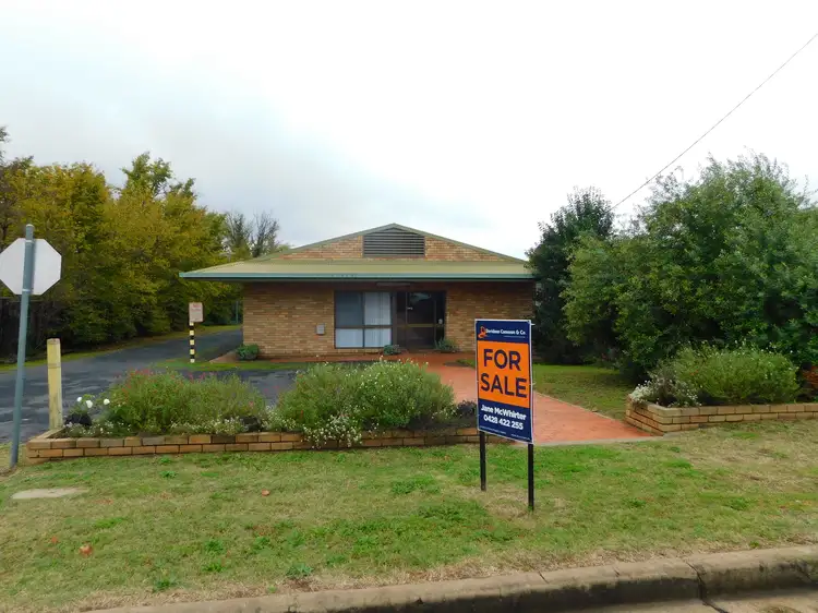 Main view of Homely other listing, 19 Little Timor St, Coonabarabran NSW 2357