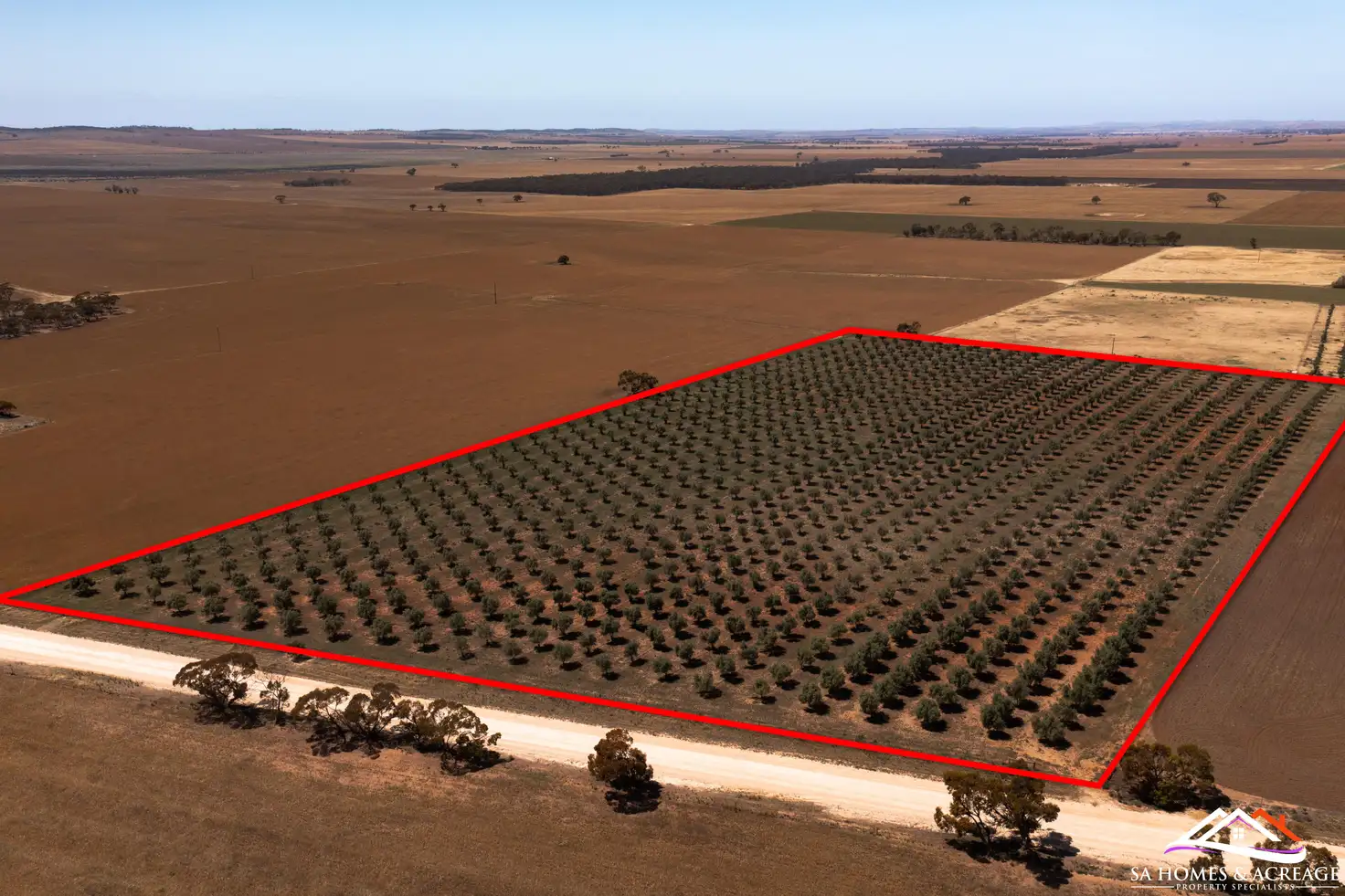 Main view of Homely land listing, LOT 441 Hills Road, Robertstown SA 5381