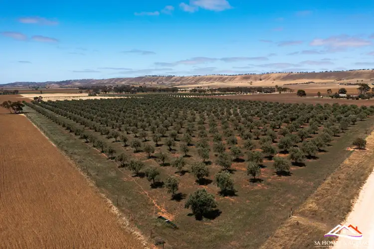 Second view of Homely land listing, LOT 441 Hills Road, Robertstown SA 5381