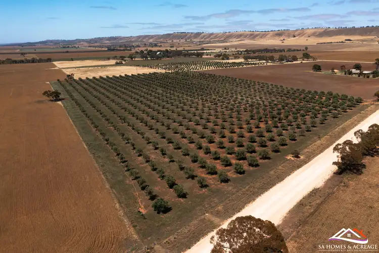 Third view of Homely land listing, LOT 441 Hills Road, Robertstown SA 5381