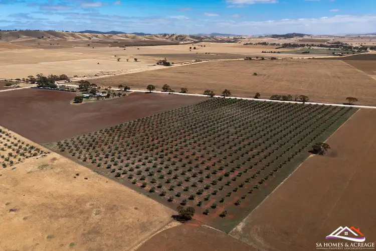 Fourth view of Homely land listing, LOT 441 Hills Road, Robertstown SA 5381