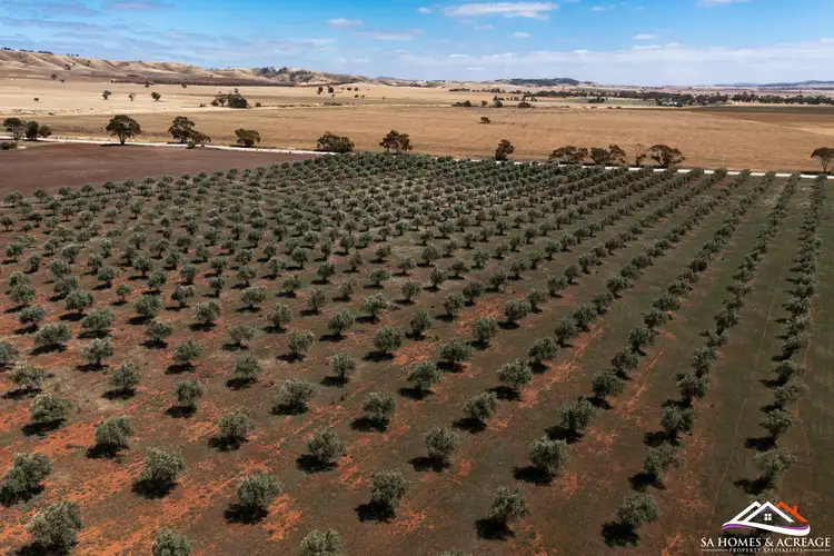 Fifth view of Homely land listing, LOT 441 Hills Road, Robertstown SA 5381