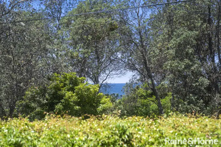 Fourth view of Homely house listing, 29 Matron Porter Drive, Narrawallee NSW 2539